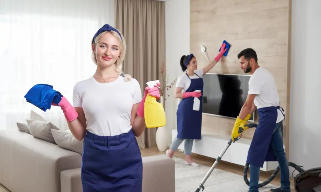 Expert Home Cleaning Advice